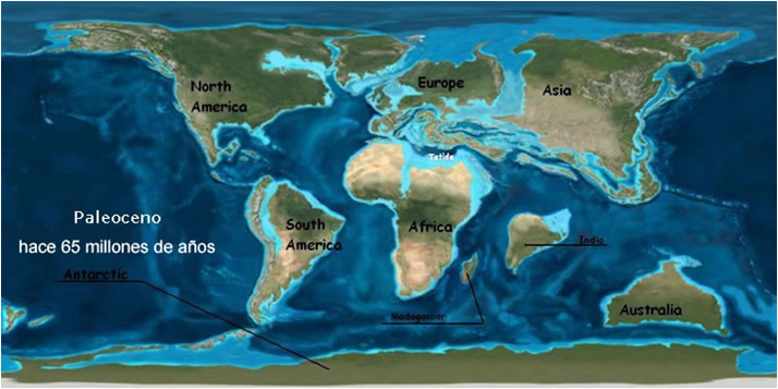 Mapa mundi con la posible reconstrucción de inicios del Paleoceno