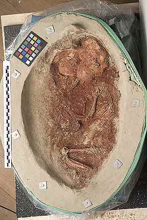 Yacimiento funerario de un bebé del Paleolítico Superior