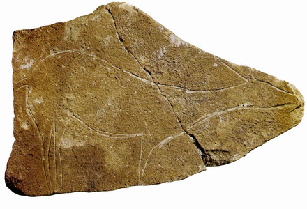 Hallazgos de la cueva del Parpalló, del paleolítico superior