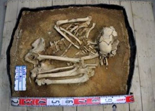 Esqueleto neolítico hallado en Taiwan