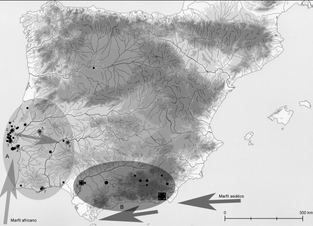 Mapa que muestra la distribución del marfil en la Península Ibérica de inicios del calcolítico