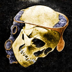 Cráneo de la sepultura 62 del yacimiento del Argar, con ajuar que demuestra grandes diferencias socioeconómicas