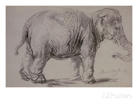Imagen 7 - Elefante de Rembrandt