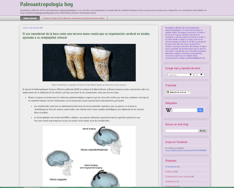 Captura de pantalla general de este magnífico blog de paleoantropología
