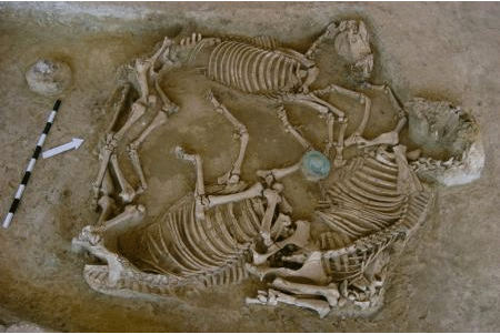 Enterramiento de tres caballos hallado en Grecia
