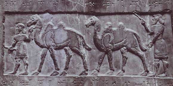 Relieve en el que se muestran los camellos del rey medioasirio Salmanassar I (1273-1244 a.C.)
