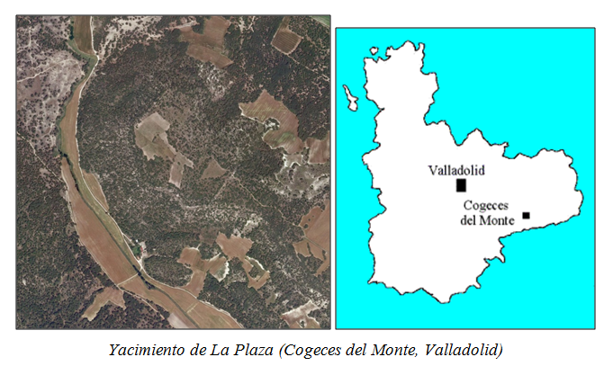 Vista desde arriba y ubicación del yacimiento de la Plaza, en Cogeces del Monte