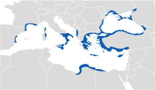El mundo griego a mediados del siglo VI a.C.