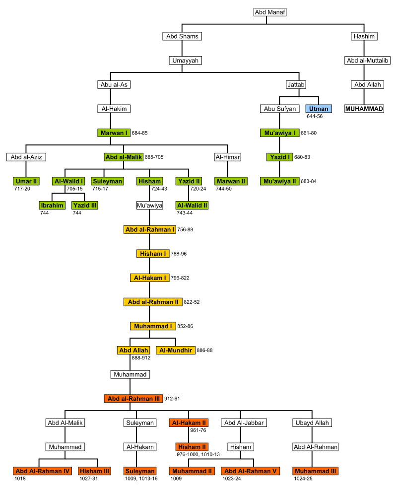 Árbol genealógico de la dinastía de los Omeya