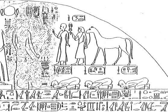 Dibujo de la parte superior derecha de la estela triunfal de Piy, primer monarca de la XXV Dinastía egipcia