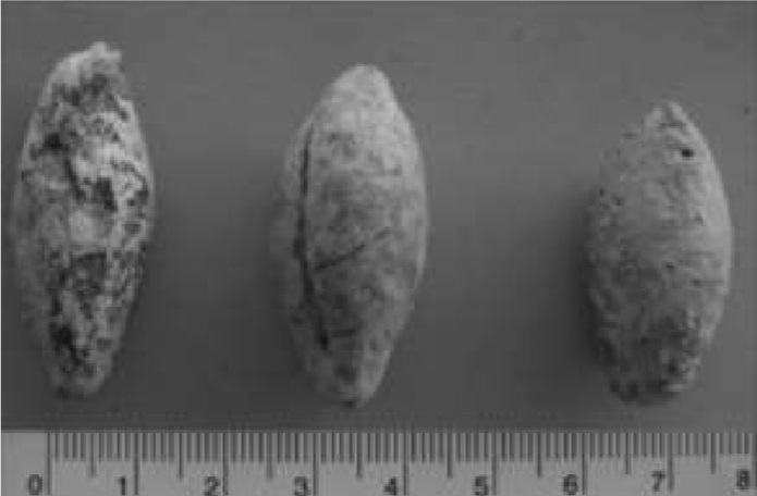 Glandes de plomo procedentes de Nova Classis (Noguera, et al., 2014)