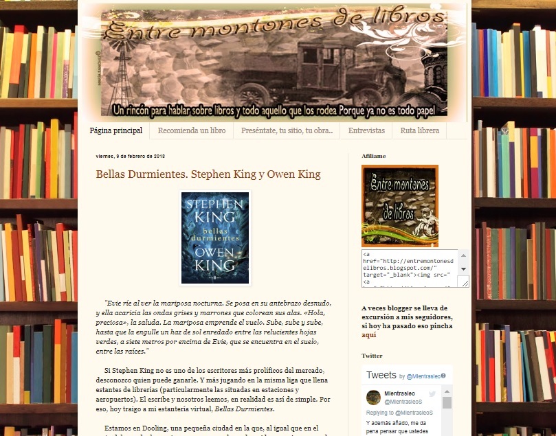 Captura de pantalla del blog Entre montones de libros