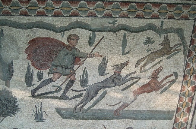Detalle de un mosaico siciliano en el que se distinguen a dos perros cazando a lo que parece ser un zorro en la antigua Roma
